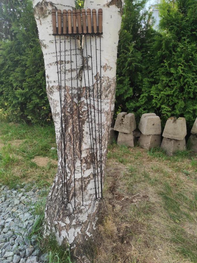 Ekologiczny Domek "Ciszyca" Z Widokiem Na Sniezke Kostrzyca Exterior foto
